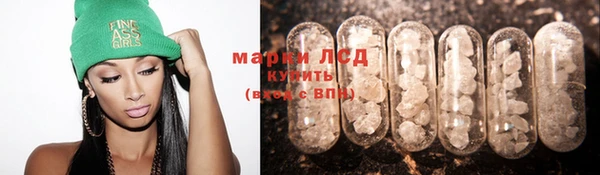прущие грибы Аркадак