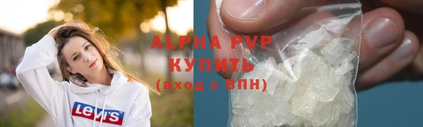 прущие грибы Аркадак