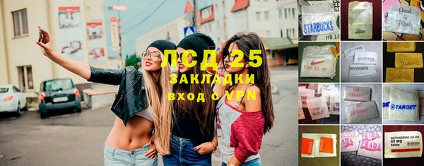 спайс Арсеньев