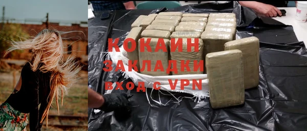прущие грибы Аркадак