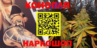 крисы Балаково