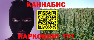крисы Балаково