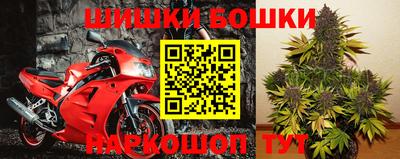 крисы Балаково