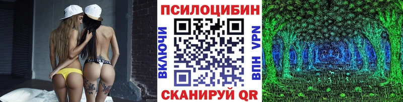 Псилоцибиновые грибы GOLDEN TEACHER как найти Асбест