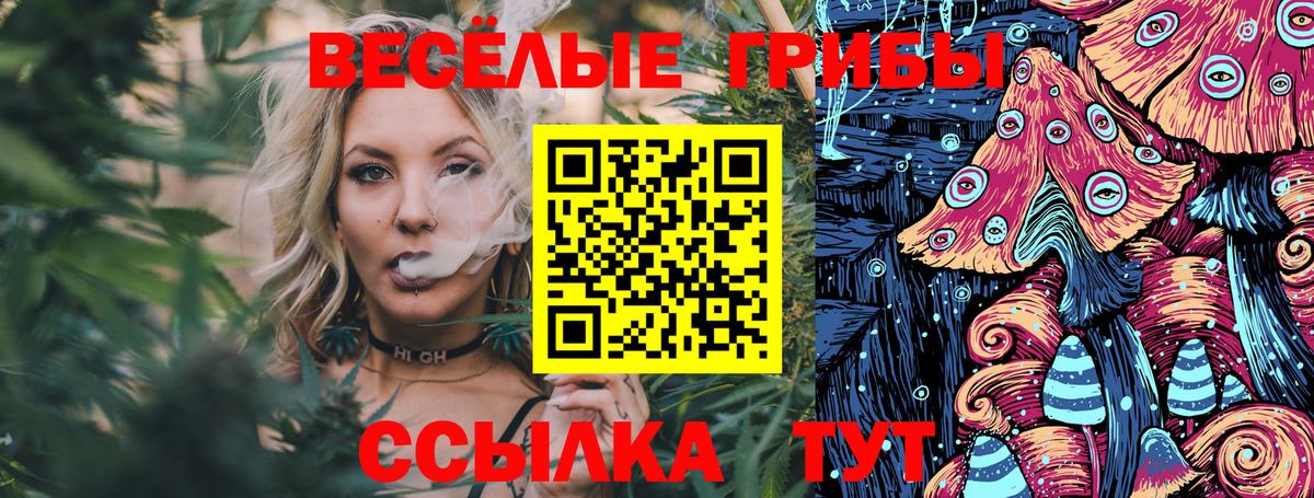 Псилоцибиновые грибы Psilocybine cubensis  Вход с VPN  Асбест 