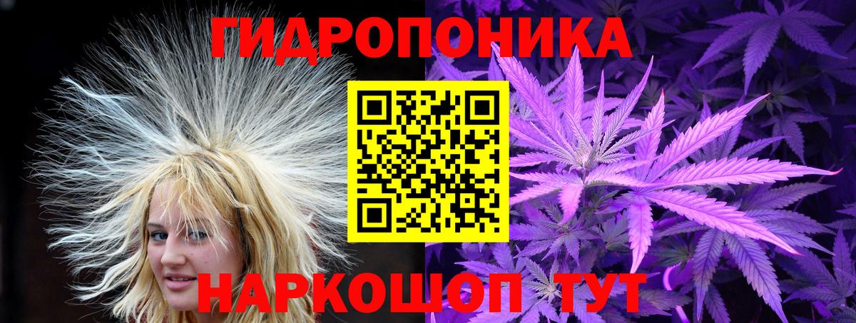 Бошки марихуана план  Шишки марихуана Bruce Banner  Асбест  Вход с VPN  Бошки марихуана гибрид 